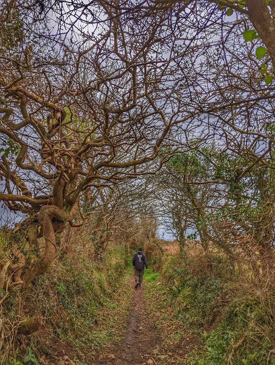 Footpath near Bosleake