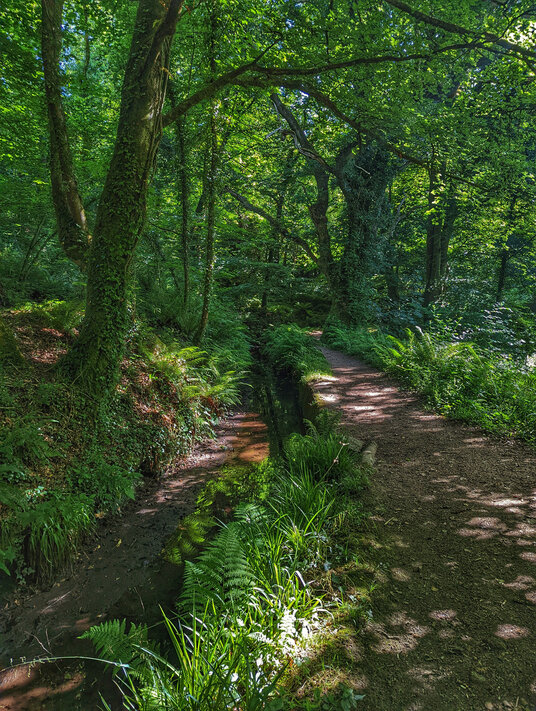 Carmears leat