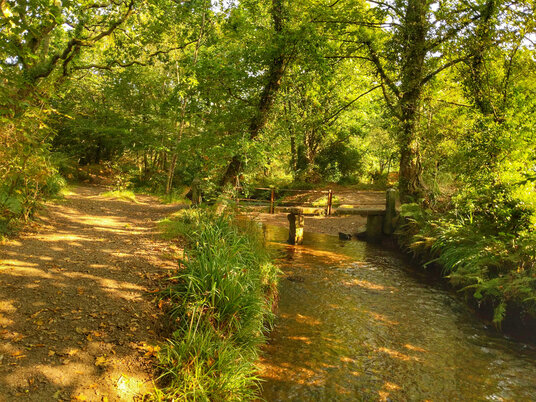 Bridge over the River Cober