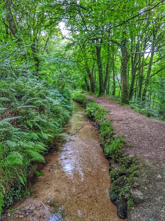 Fowey Consols Leat