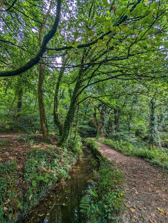 Fowey Consols Leat