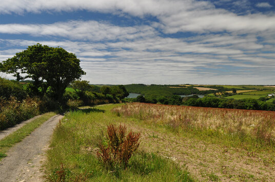 Track to Frenchman's Creek