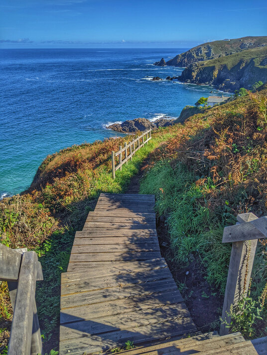Coast path steps near Gurnard's Head