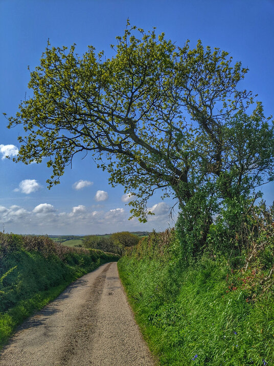 Lane to Gwindra