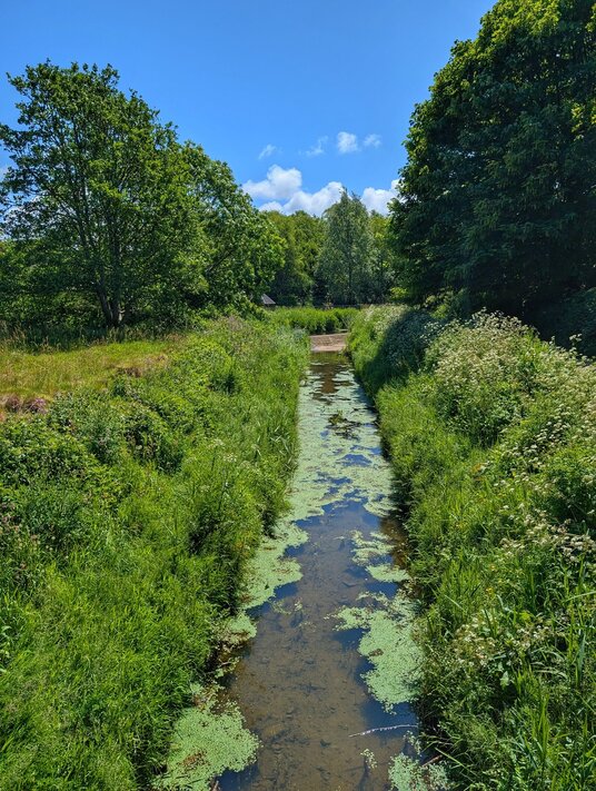 Hayle River
