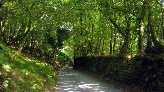 Lane to Henwood