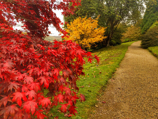 Lanhydrock gardens in autumn