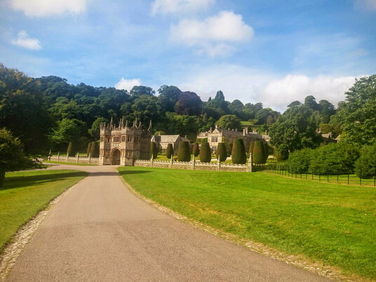 Driveway to Lanhydrock