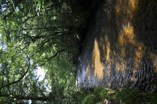 River Fowey at Lanhydrock