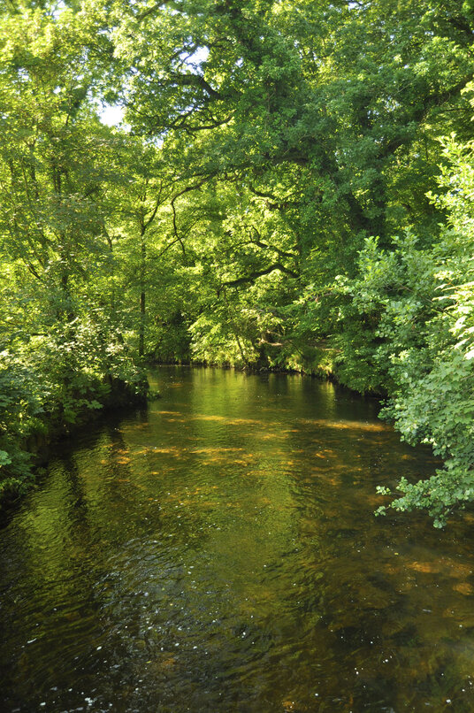 River Fowey