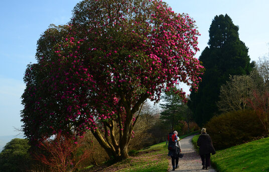 Path leading from the Higher Gardens