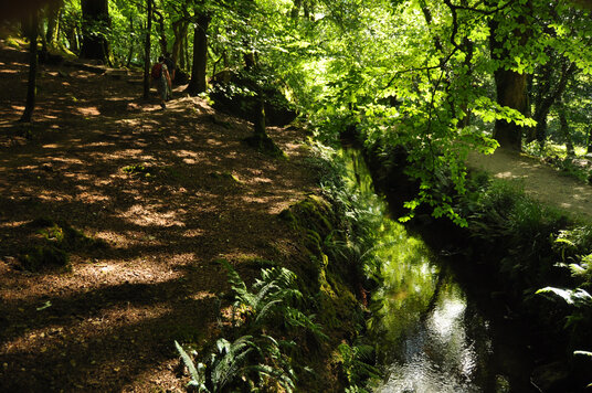 Fowey Consols Leat