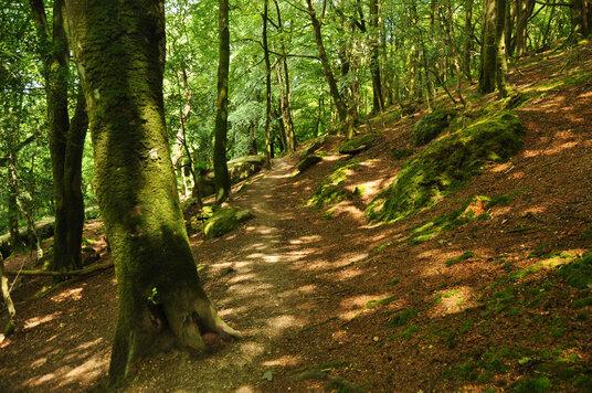 Path to the top of the viaduct