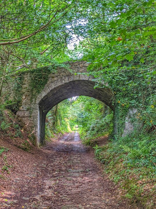 Inclined plane in the Luxulyan Valley