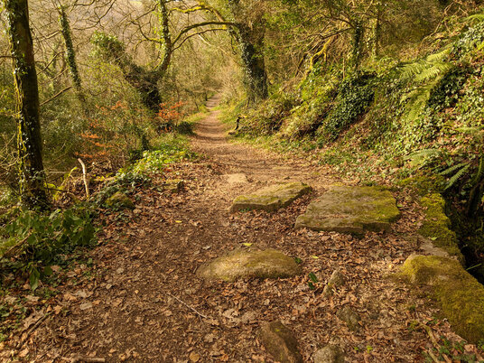 Velvet Path