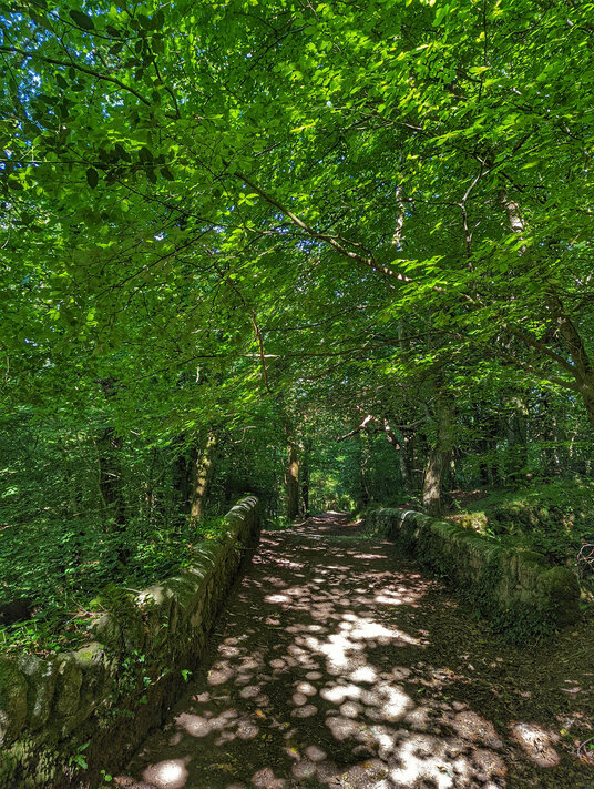 Velvet path