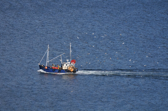 Mevagissey boat returning to port
