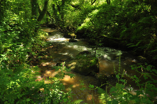 River Par