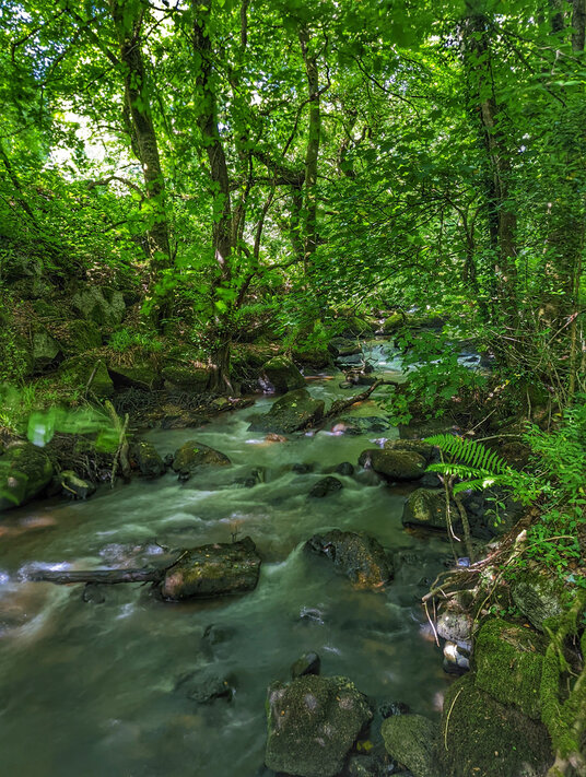River Par
