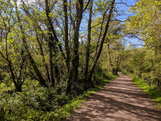 Pentewan Valley Trail