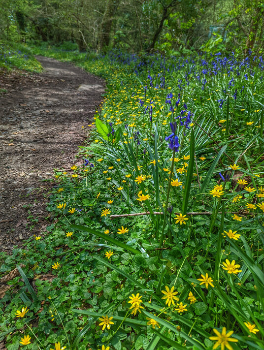 Path from Polwheveral