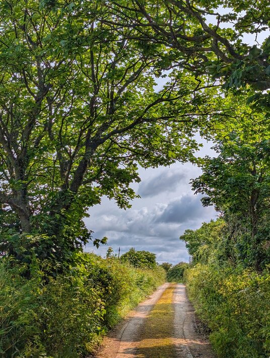 Porthcollum Lane