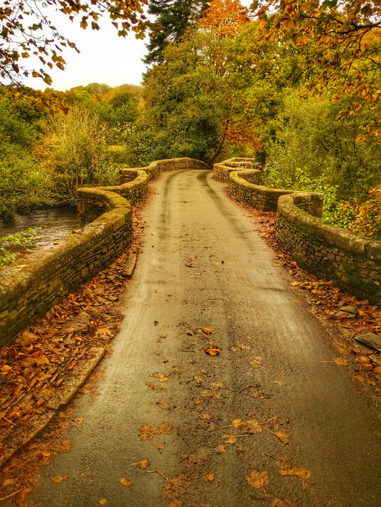 Respryn Bridge in autumn
