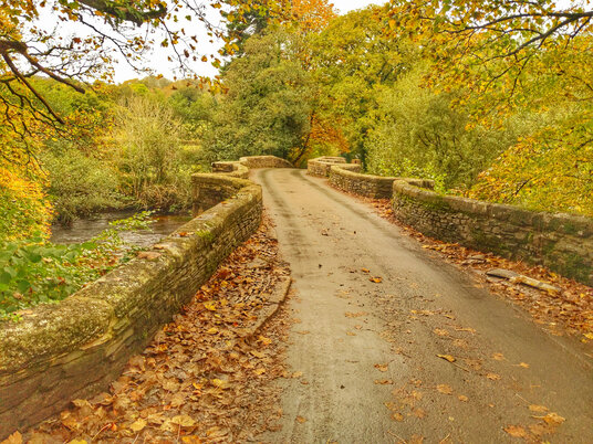 Respryn Bridge in autumn