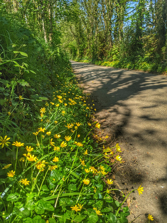 Lane to Resugga