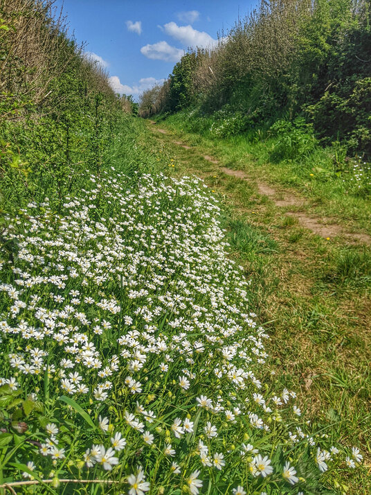 Path from Resugga
