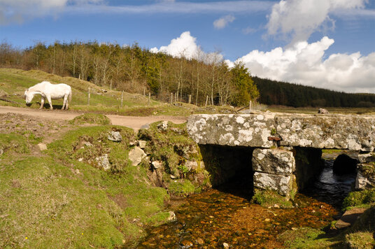 Roughtor Bridge