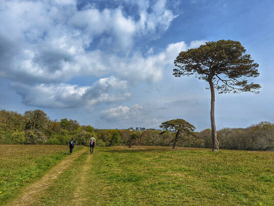 Track to Scott's Quay