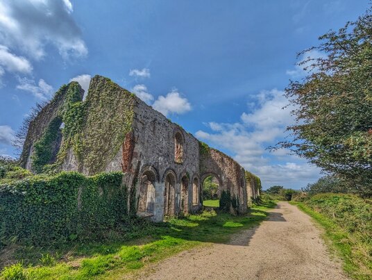 South Wheal Frances