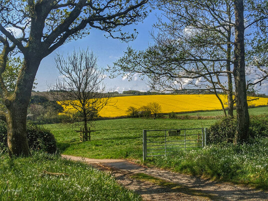Spring Farm