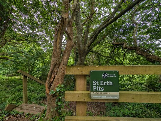 St Erth Pits