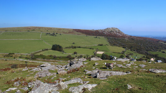 View of Sharptor