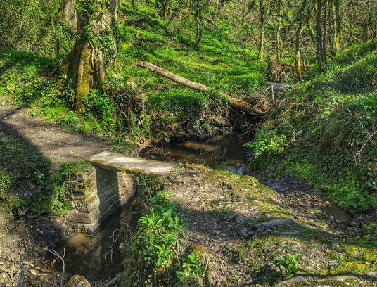 River Tidna