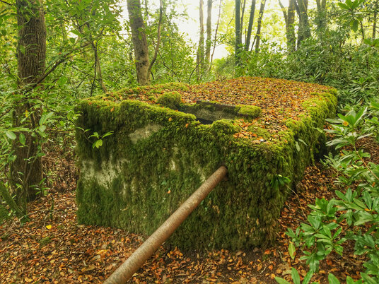 Tivoli Holding Tank