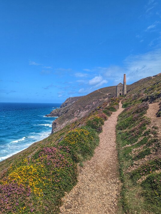 Heather lined path to Towanroath Engine House