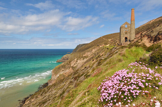 Thrift at Towanroath, St Agnes