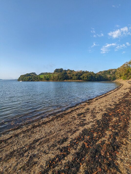 Beach at Trelissick