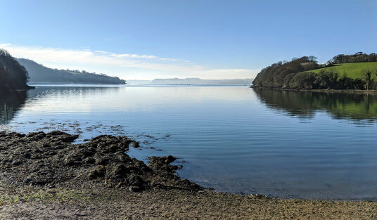 Beach at Trelissick