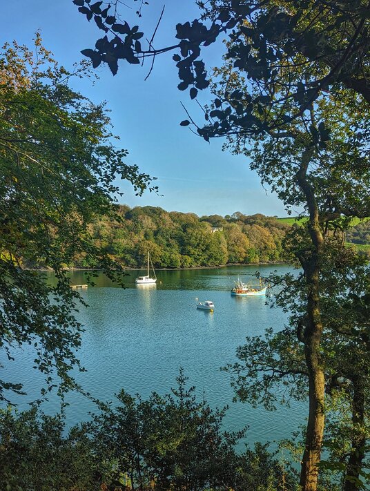 View of the creek at Trelissick