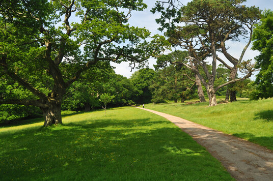 Parkland at Trelissick