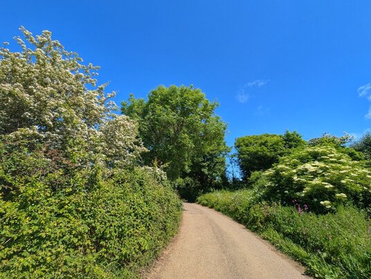 Tremellin Lane