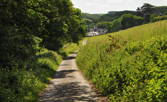 View of Lanherne Covent across the meadow