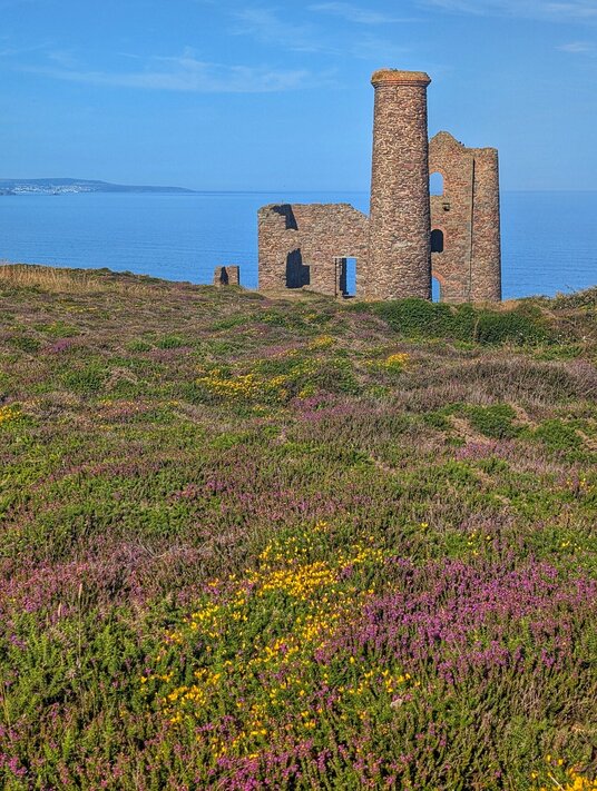 Wheal Coates
