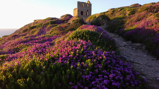 Wheal Coates