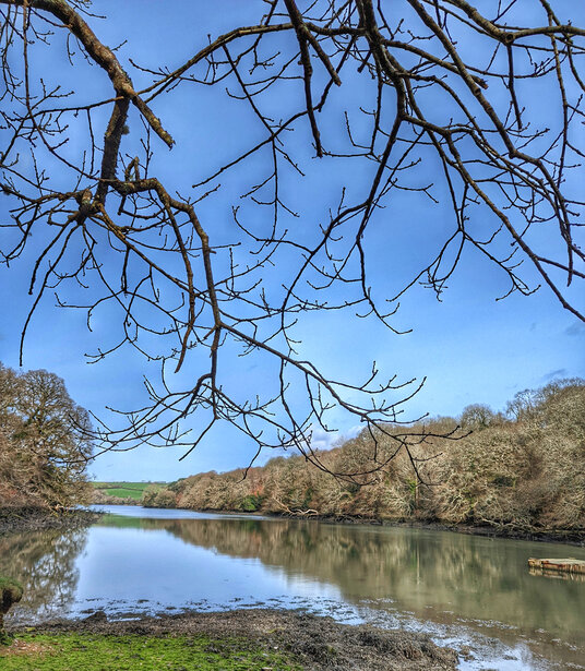 View across the creek from Withan Quay